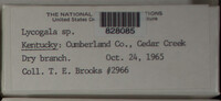Image Associated With the Occurence
